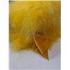 Image 6 : #(3) Hat & Box- Yellow Feather Hat And Black Hats