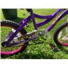 Image 2 : BICYCLES AND SCOOTER (BIKE LOT 1)