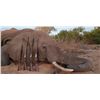 Image 3 : Zimbabwe Elephant hunt for 1 hunter