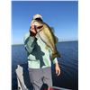 Image 2 : Lake Okeechobee Bass-Crappie- Bluegills 6 hour trip