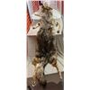 Image 3 : Large Coyote hide with feet on