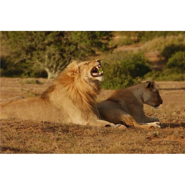 8 day South Africa Photo Safari for 2 people