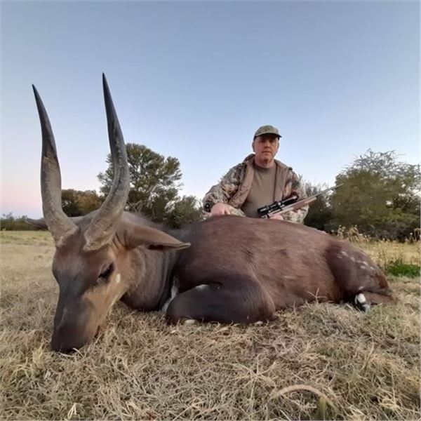 Spiral Horned Slam South African Hunt for 1 hunter -8 day South Africa