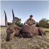 Image 1 : Spiral Horned Slam South African Hunt for 1 hunter -8 day South Africa