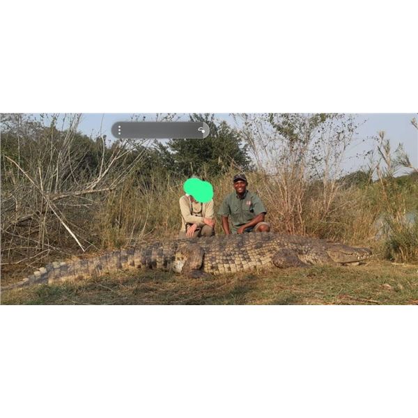 Zimbabwe Crocodile and Buffalo for 1 hunter
