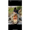Image 2 : Zimbabwe Crocodile and Buffalo for 1 hunter