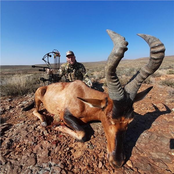 Ringed Horned Slam -South Africa 1 Hunter 10 days 8 animals