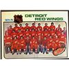 Image 1 : 1975-76 TOPPS DETROIT RED WINGS