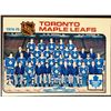 Image 1 : 1975-76 O-PEE-CHEE TORONTO MAPLE LEAFS