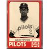 Image 1 : 1980 MiLB TEAM SET PENINSULA PILOTS - JULIO FRANCO