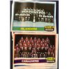 Image 1 : 1980-81 TOPPS NHL TEAM PHOTO INSERT POSTERS SET (16)
