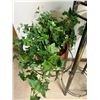 Image 2 : Four Tier Plant stand