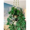 Image 1 : Faux Hanging Plant