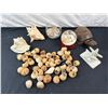 Image 1 : Sea Shells & Ocean Decor