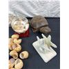 Image 2 : Sea Shells & Ocean Decor