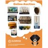 Image 1 : Online Auction