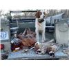 Image 3 : Premier Virginia Upland Bird Hunting Getaway for 2 Hunters