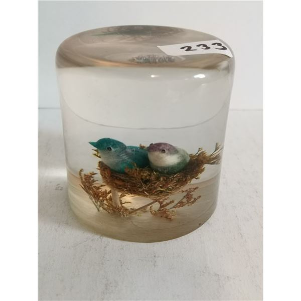 Lucite 2 birds on the nest