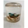 Image 1 : Lucite 2 birds on the nest
