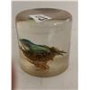 Image 2 : Lucite 2 birds on the nest