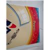 Image 2 : pepsi plastic sign 28"x44"