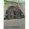 Image 1 : Horse hide blanket 70"x64" widest points -tanned back side-some holes