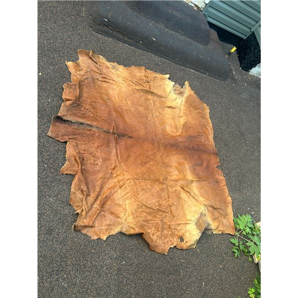 Horse hide blanket 62"x68" at widest points-tanned back-sorrel -some damage
