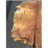 Image 3 : Horse hide blanket 62"x68" at widest points-tanned back-sorrel -some damage
