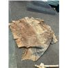 Image 5 : Horse hide blanket 62"x68" at widest points-tanned back-sorrel -some damage
