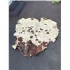 Image 1 : Horse hide blanket 70"x66" at widest points-tanned back- paint- damaged in spots