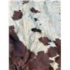 Image 2 : Horse hide blanket 70"x66" at widest points-tanned back- paint- damaged in spots