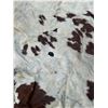 Image 3 : Horse hide blanket 70"x66" at widest points-tanned back- paint- damaged in spots