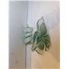 Image 4 : ART GLASS FLOWER