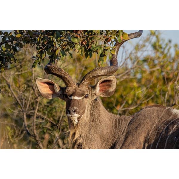 $2,500 CREDIT PER 2 HUNTERS