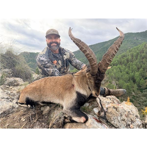 CORJU HUNTING-SOUTHEASTERN IBEX