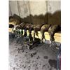 Image 2 : MISSOURI DUCK HUNT FOR TWO WITH BOONE HAVEN OUTFITTERS AND THE 2024 WORLD DUCK CALLING CHAMPION CHAN