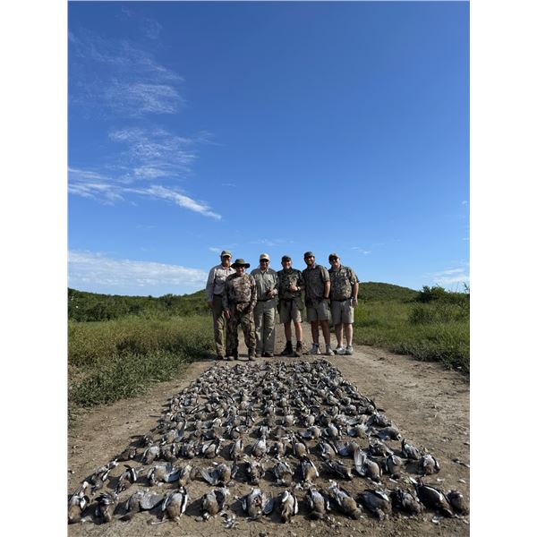 Mexico Dove Hunt for 2 - El Dorado Outfitters