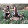 Image 2 : Spanish Combo Hunt for 1 - Wild Hunting Spain