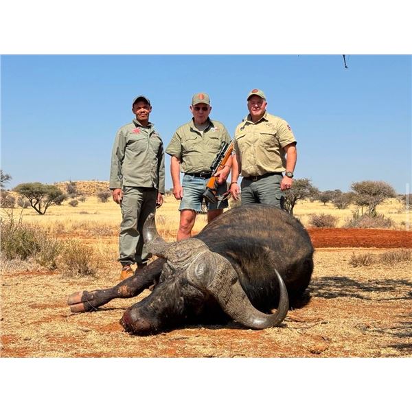 Cape Buffalo Hunt for 1 - SB Hunting Safaris