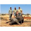 Image 1 : Cape Buffalo Hunt for 1 - SB Hunting Safaris