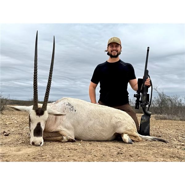 Arabian Oryx Hunt for 1 - 777 Ranch