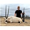 Image 1 : Arabian Oryx Hunt for 1 - 777 Ranch