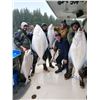 Image 1 : Alaska Sportfishing for 2 -Alaska Safari Unlimited