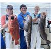 Image 2 : Alaska Sportfishing for 2 -Alaska Safari Unlimited