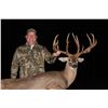Image 2 : Michigan Whitetail for 1 - Two Hats Ranch