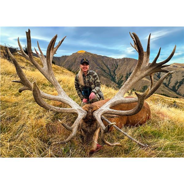 Red Stag and Chamois for 1 - Venator New Zealand