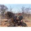 Image 2 : 10 Day Plains Game Safari for 2 - Dries Visser Safaris