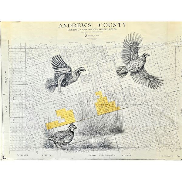 Quail Painting - Peter Blackwell