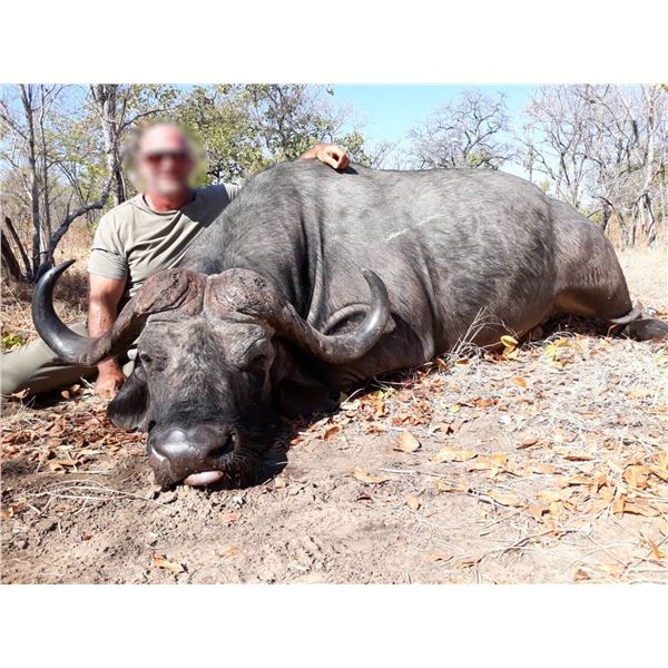 Buffalo and Croc Hunt - Safaris De Mozambique