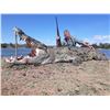 Image 2 : Buffalo and Croc Hunt - Safaris De Mozambique